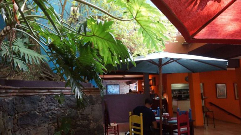 Experiencia gastronómica · TePeztlán y La Sandía Azul — Geowiza Connect+