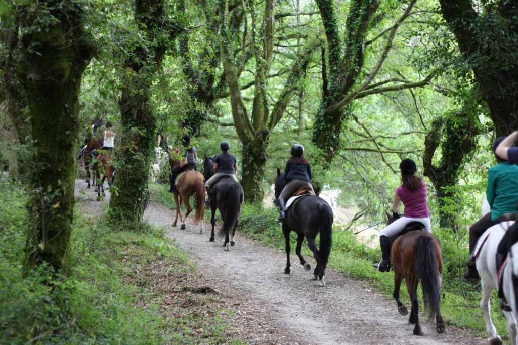 Ruta a caballo · Roman Ruíz — Geowiza Connect+