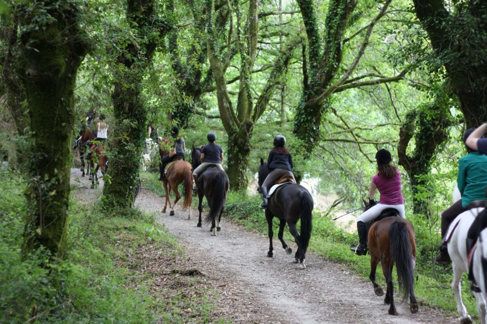 Jinetes recorriendo un sendero arbolado durante la ruta a caballo en Tepoztlán